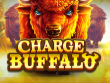 Experience the Excitement of Charge Buffalo with Our Free Roulette App缩略图