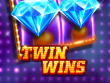 TWIN WINS: A New Alternative Beyond Traditional Free Roulette Games缩略图