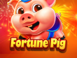 Exploring the Allure of Fortune Pig: The Ultimate Alternative to Free Roulette Apps缩略图