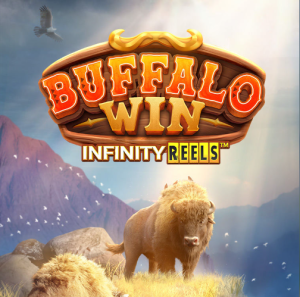 Buffalo Win插图5